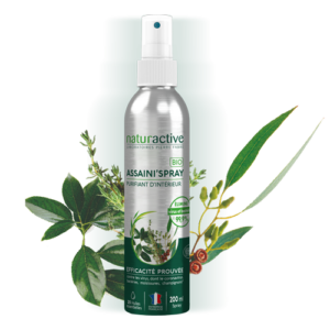 Assainispray_200ml_fd_500X500 1 ASSAINISPRAY *